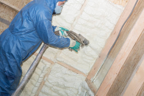 Eco-Friendly or Green Insulation Solutions in Lacon, IL